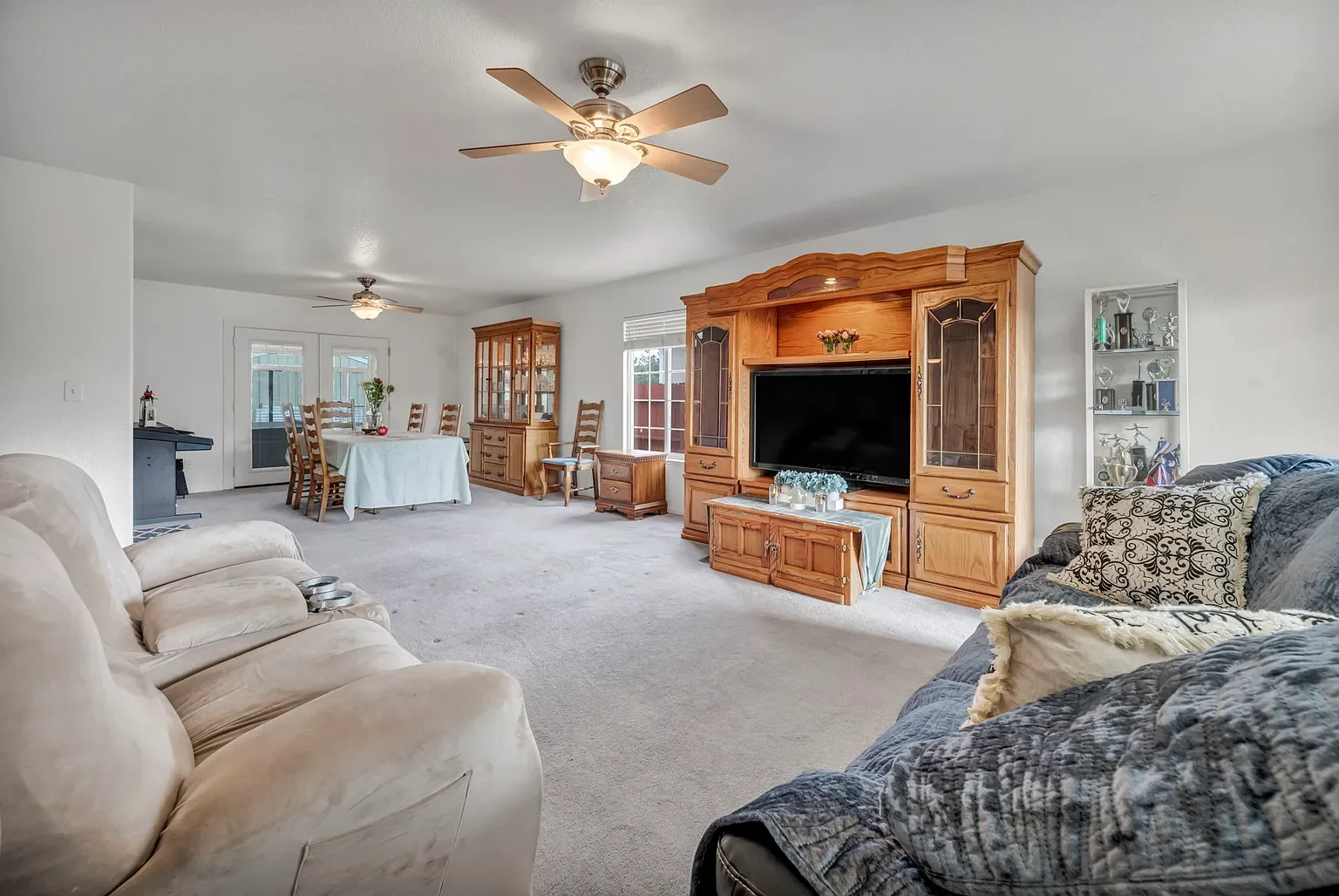 Furniture Removal - Before