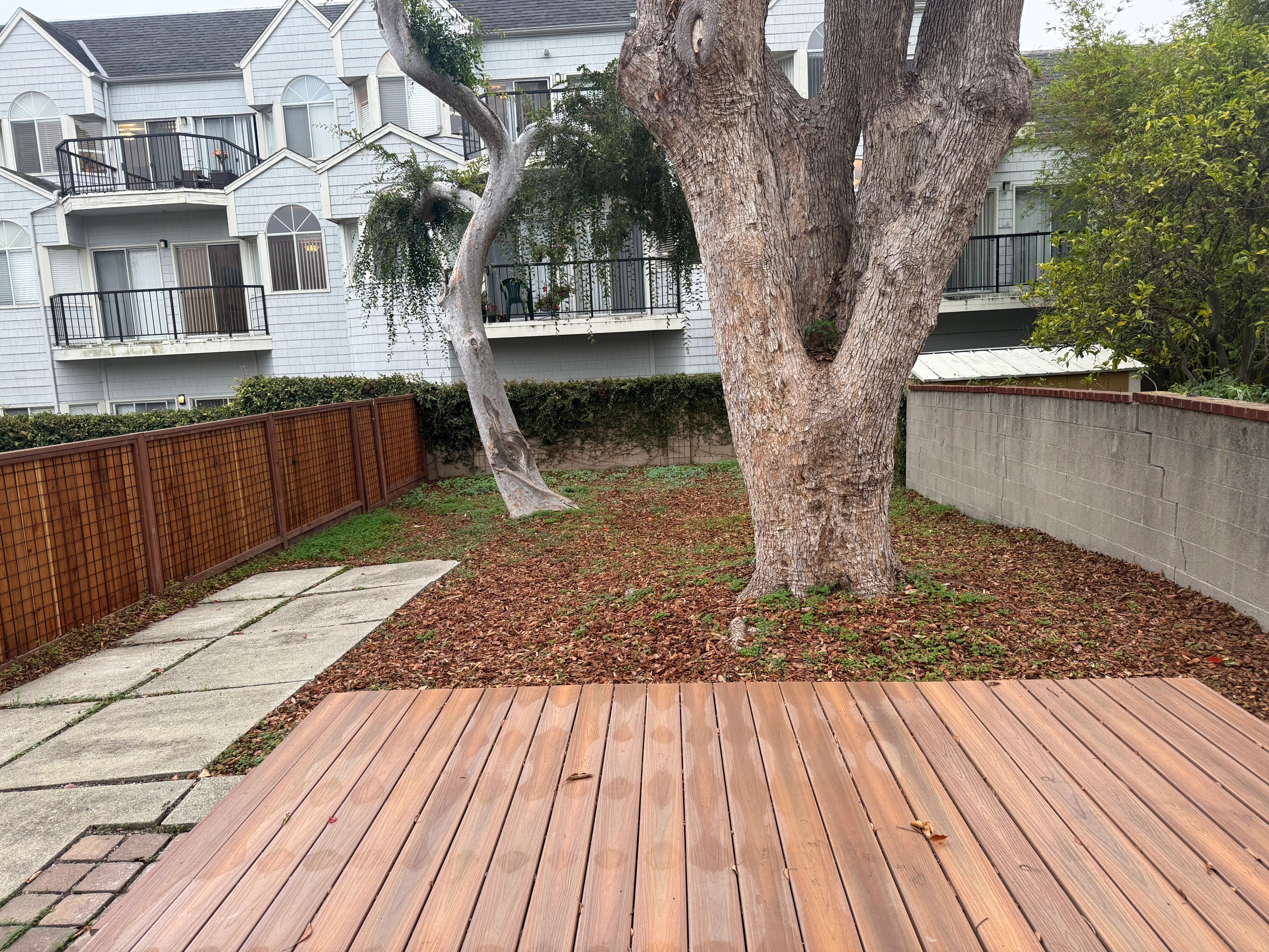 Grass & Lawn Enhancement - Before