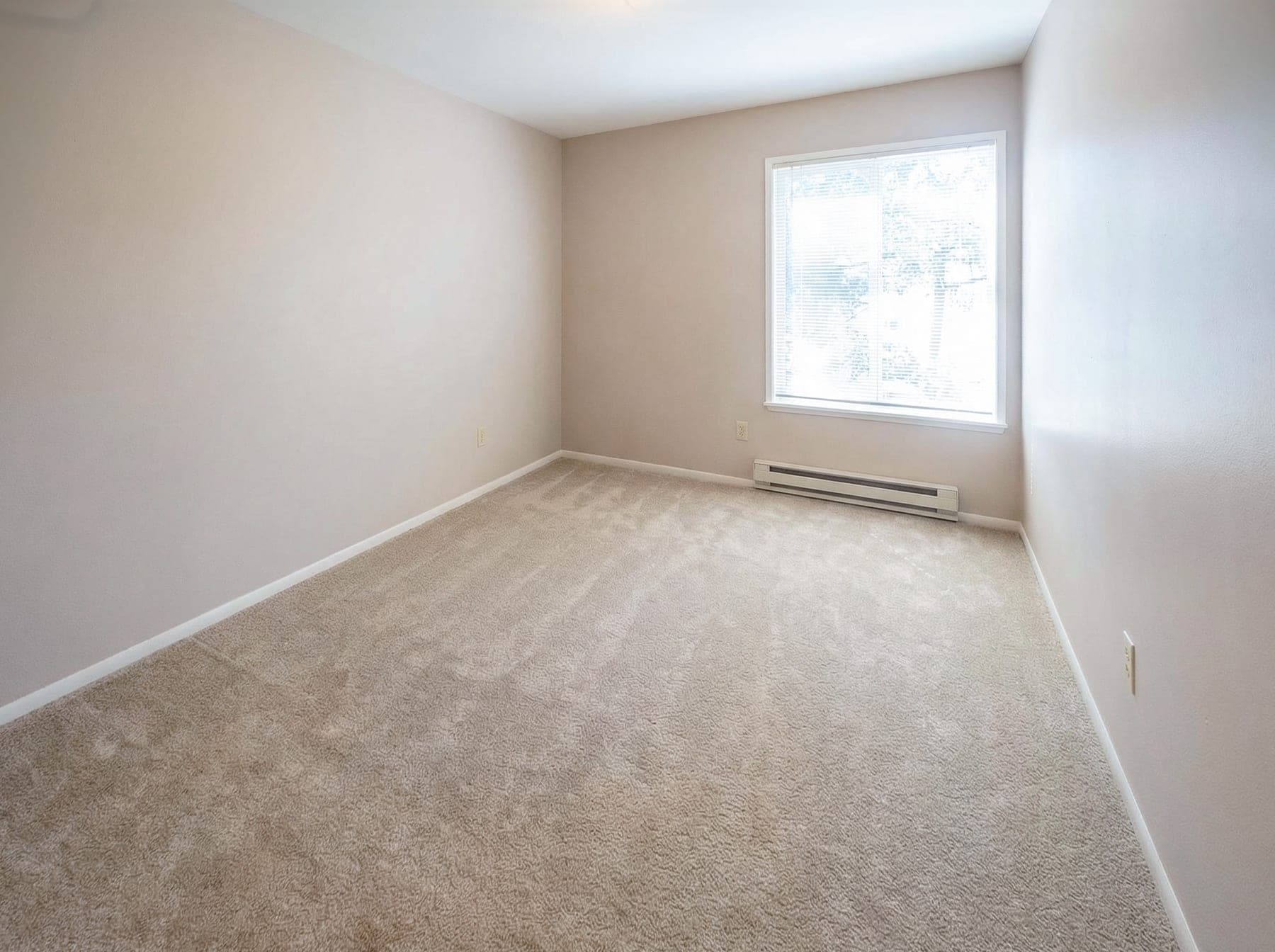 Furniture removal, after